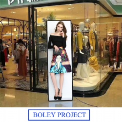 Inpa Series Poster Screen